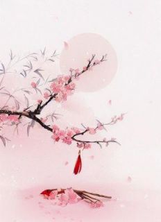 太子转盘选妃，我果断拿走我的号码牌