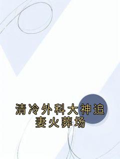 清冷外科大神追妻火葬场