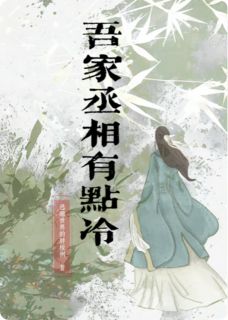 吾家丞相有点冷