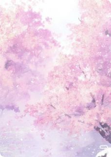 夫君他娶平妻后，我飞升了