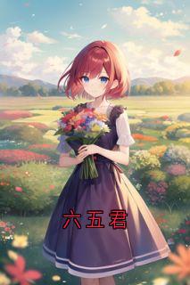 六五君