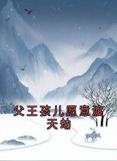 父王孩儿愿意渡天劫