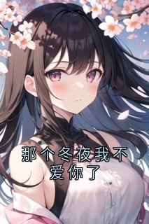那个冬夜我不爱你了