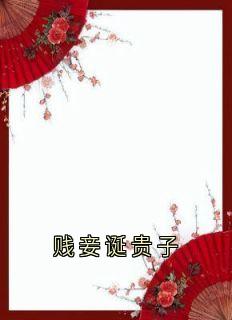 贱妾诞贵子