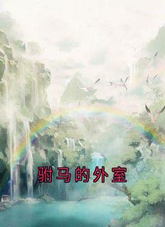 驸马的外室