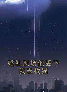 婚礼现场他丢下我去找猫