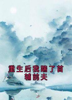 重生后我踹了首辅前夫