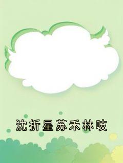 沈折星苏禾林吱