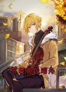苏轻菀段翊舟