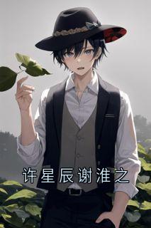 许星辰谢淮之