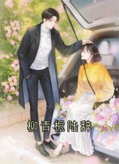 柳青栀陆辞
