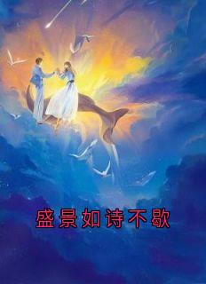 盛景如诗不歇