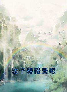 沈子稷陆景明