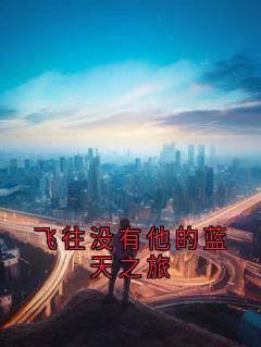 飞往没有他的蓝天之旅