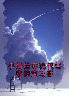 手撕抹零我代驾费的宝马哥