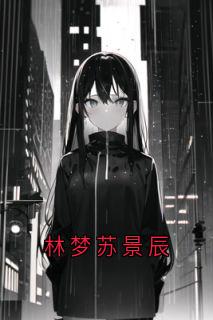 林梦苏景辰