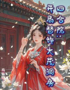 四合院：开局替许大茂洞房