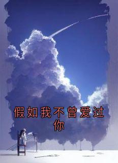假如我不曾爱过你