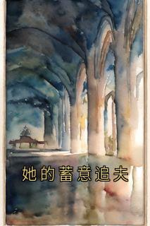 她的蓄意追夫