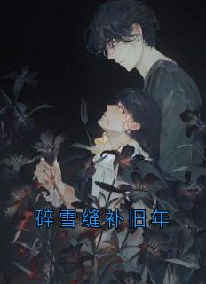 碎雪缝补旧年