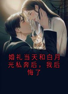 婚礼当天和白月光私奔后，我后悔了