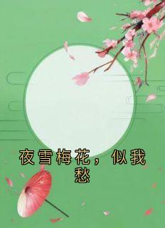 夜雪梅花，似我愁