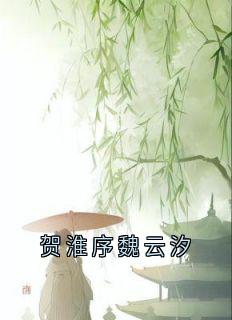 贺淮序魏云汐