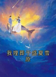 我埋葬于盛夏雪原