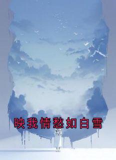映我情愁如白雪