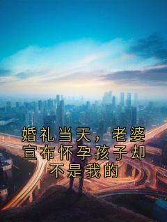 婚礼当天，老婆宣布怀孕孩子却不是我的
