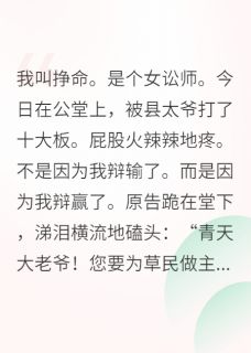 我在古代当律师，状告当朝宰相