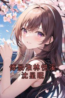 傅景淮林悦溪沈星眠