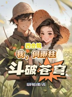 四合院：我，何雨柱，斗破苍穹