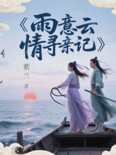雨意云情寻亲记