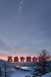 苏淼许棠办案