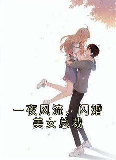 一夜风流，闪婚美女总裁