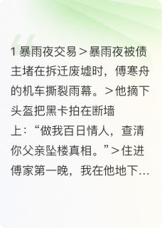百日合约情人藏着我十八岁的糖