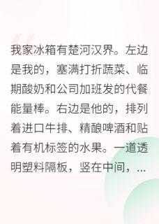 和老公的AA制婚后生活