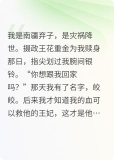再不见皎皎明月