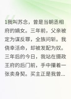 沦落为奴：王爷的禁忌爱