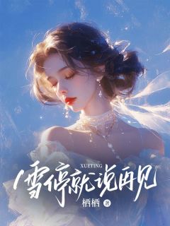 雪停就说再见