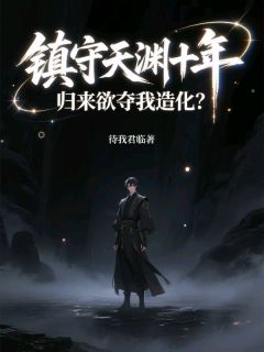 镇守天渊十年，归来欲夺我造化？