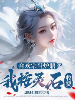 合欢宗当炉鼎，我按灵石收费