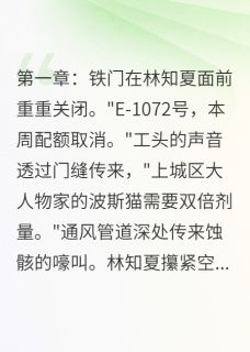 烬光：银刃觉醒之终末火种