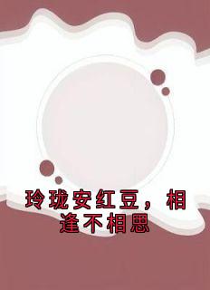 玲珑安红豆，相逢不相思