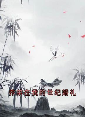 养弟在我的世纪婚礼