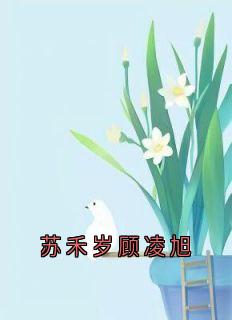 苏禾岁顾凌旭