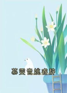 慕雯音姚睿辞
