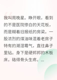重生八零，我要当万元户