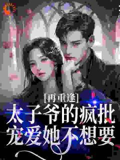 再重逢，太子爷的疯批宠爱她不想要